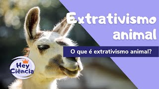 O que é extrativismo animal Seu estilo de vida pode impactar nesse processo [upl. by Kwan]