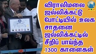 விராலிமலை ஜல்லிக்கட்டுப்போட்டியில் உலக சாதனை  ஜல்லிக்கட்டில் சீறிப் பாய்ந்த 1300 காளைகள் [upl. by Sahc]