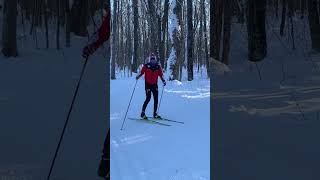 WHAT NORDIC SKIING IS REALLY LIKE  SKIING IN STYLE [upl. by Enirhtak]