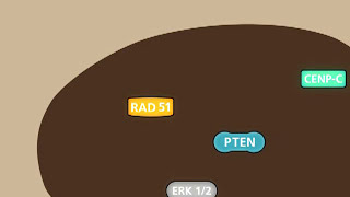 The tumour suppressor protein PTEN [upl. by Torre]