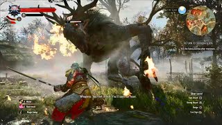 The Witcher 3 NextGen PS5 Full Game Part 15 no commentary [upl. by Ainad70]