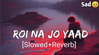 Roi Na Jo Yaad Meri Aayi SlowedReverb Sad lofi  New Sad Songs  Sad Song  Hindi Sad Song [upl. by Eidissac178]