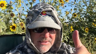 Colorado Dove Opener [upl. by Hillary]