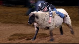 Mutton Bustin highlights  San Antonio Rodeo  Feb 18 2022 [upl. by Enalb]