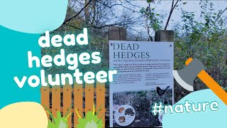 Join The Preservation Movement Volunteer To Build Dead Hedges [upl. by Lenzi]