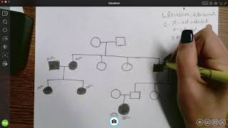 Genotypes and pedigrees [upl. by Kursh967]