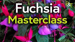 Fuchsia Masterclass potting pruning cuttings hardiness  Pots amp Trowels [upl. by Ahsilif]