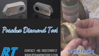 Posalux Diamond Tools  Horizontal Faceting  Vertical Faceting [upl. by Duvall]