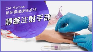 CAE Medicor 靜脈注射手部模型 IV hand  手背靜脈注射訓練 材質擬真耐用 [upl. by Mcferren]