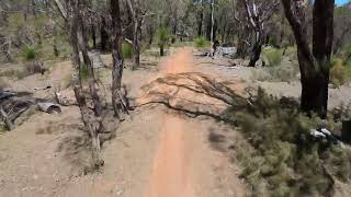 241027 MTB Jarrahdale Fox back bit [upl. by Dnomra8]