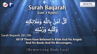 Surah Baqarah Last 2 Verses  Sheikh Ziyad Patel  Memorizing Made Easy  1080pᴴᴰ [upl. by Kannav959]