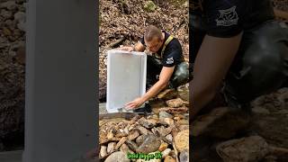 Gold Found Enhanced Gold Panning with Sluice System in a Mountain Stream GoldPanning [upl. by Sisco]