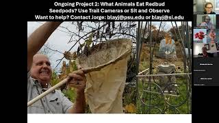 The Redbud Phenology Project Training Webinar 2024 [upl. by Moreno]