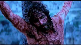 The Dolorous Passion of Our Lord Jesus Christ  Part 8 [upl. by Deutsch883]