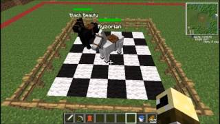 Mo Creatures Tutorial  how to breed your Horses in Mo Creatures 371 and later [upl. by Nahtnhoj]