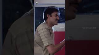 Jalsa Movie Scenes  pawankalyan ileanadcruz prakashraj brahmanandam  shortsvideo shorts [upl. by Llenral776]