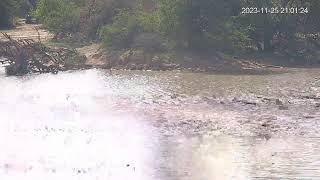 Tshukudu Game Lodge Live Stream [upl. by Ponce]