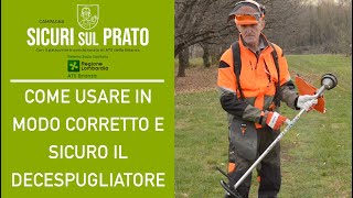 Come usare in modo corretto e sicuro il DECESPUGLIATORE  CONSIGLI PER GIARDINIERI [upl. by Trant674]