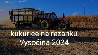 kukuřice na řezanku Vysočina 2024 [upl. by Calista]