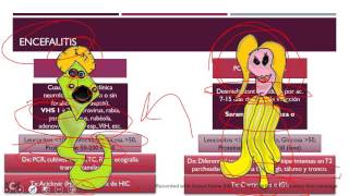 Neurología Pediátrica Repaso rápido ENARMMIR [upl. by Nava]