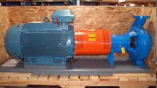 Goulds  3196 iFRAME  Centrifugal Pump [upl. by Martica760]