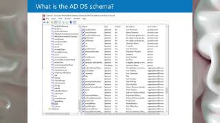 What is the AD DS schema [upl. by Herrod]