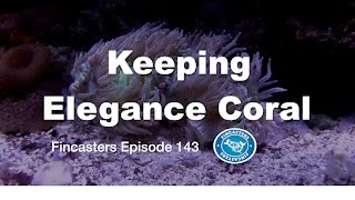 Keeping Elegance Coral Fincasters Episode 143 [upl. by Llenrod]