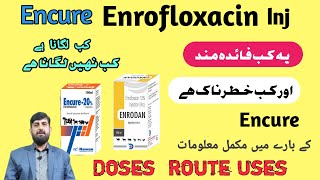 Encure Enrofloxacin Inj  Enrofloxacin Uses In Cattle Buffalo  Antibiotic Use In Animals  Disease [upl. by Norb997]