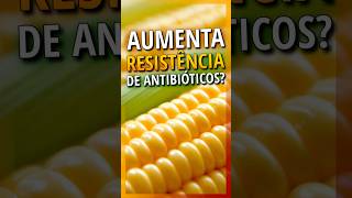 Milho Geneticamente Modificado Estamos Realmente Seguros O Que a Indústria Não Quer que Você Saiba [upl. by Akisej]