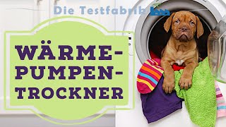 👖 Wärmepumpentrockner Test 2024 – 🏆 Die besten Wärmepumpentrockner [upl. by Vine]