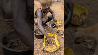 Wow😯its delicious Food Hadzabe tribe Cookies Meal for Dogs 🤤so delicious food culturebushmen [upl. by Tennos]