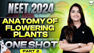 Anatomy of Flowering Plants  One shot  Part 2  NEET 2024  Seep Pahuja [upl. by Maurine]