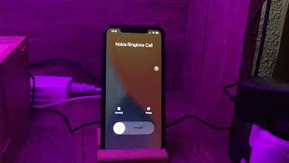 İPhone 13 Pro Max  Nokia 3310 Ringtone Badinerie Zil Sesi [upl. by Malita156]