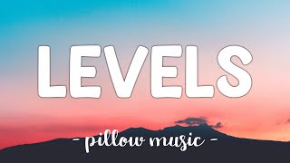 Levels  Avicii Lyrics 🎵 [upl. by Mumford710]