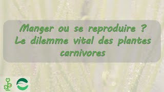 Manger ou se reproduire  le dilemme vital [upl. by Serrano]