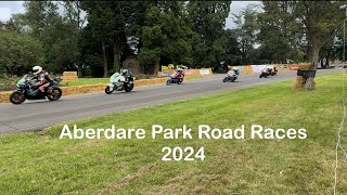 Aberdare Park Races 2024 [upl. by Atilehs]