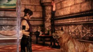 Dragon Age  Persuasive mabari hound [upl. by Copeland808]