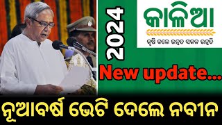 kalia yojana new update today  kalia yojana  kalia yojana new update 31 December [upl. by Geis]