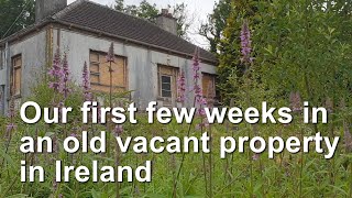 First few weeks in an old vacant property in Ireland [upl. by Meehar]