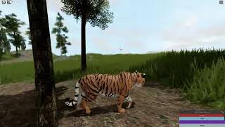 Ngandong Tiger hunts  Cenozoic Survival Classic [upl. by Bushey]