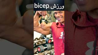 Get BIG Biceps FAST at the Gym for Beginners [upl. by Kamerman]