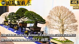 ”The 98th Kokufu Bonsai Exhibition 2024 Part1quot Japanese Bonsai Expo国風盆栽展 前期 4K HDR [upl. by Yrot507]