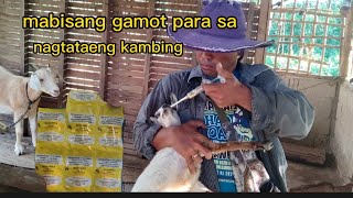 ano ang mabisang gamot SA pagtatae Ng kambingisang paraan ito alamin natin👍 [upl. by Lyndell]