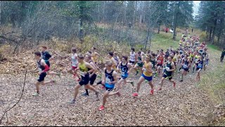 ASAA Alaska State XC DI Boys 2024 [upl. by Llewej]