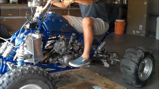 Honda TRX250R [upl. by Yraccaz]