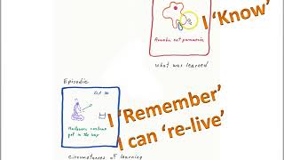 Semantic and Episodic Memory [upl. by Weil587]