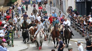 Encierro a caballo Corpus Vitigudino [upl. by Sesmar]