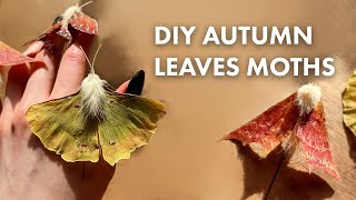 Autumn Leaves Moths Tutorial Chill Crafting [upl. by Lertnek]