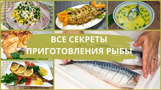 Как приготовить рыбу 6 ПРОВЕРЕННЫХ рецептов из рыбы для БЫСТРОГО приготовления [upl. by Gibbs]