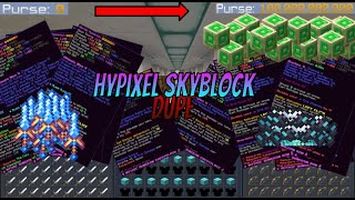 Hypixel Skyblock Dupe  ANY ITEM [upl. by Notsnhoj]